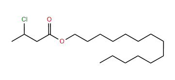 Tetradecyl 3-chlorobutanoate